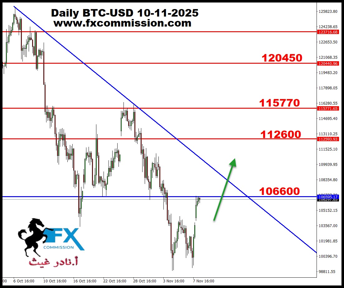 ���� ���� ������ �� ���� ������