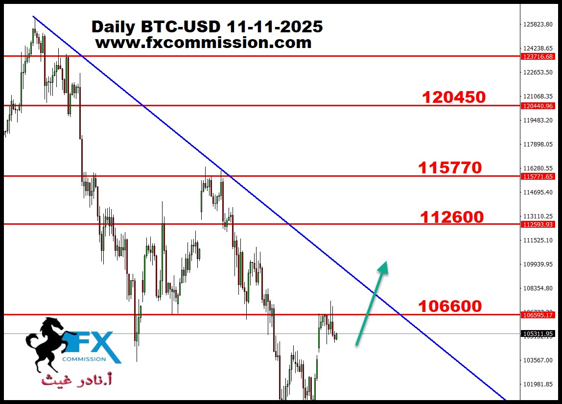 ���� ���� ������ �� ���� ������