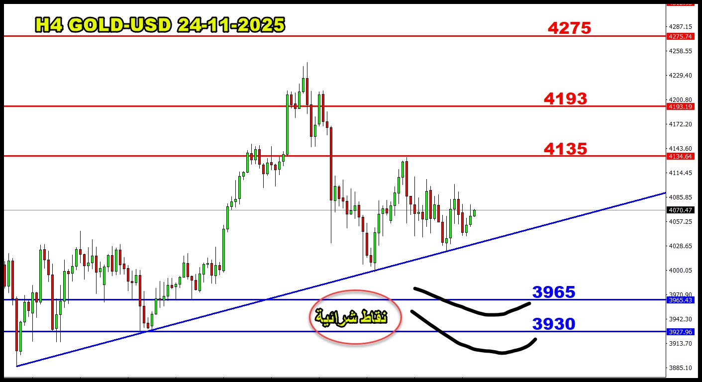 ���� ���� ������ �� ���� ������