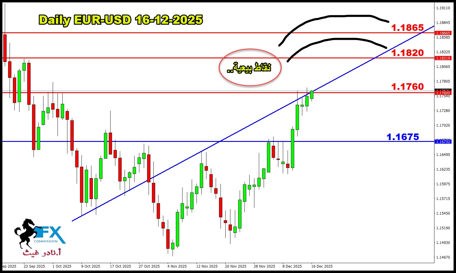 ���� ���� ������ �� ���� ������