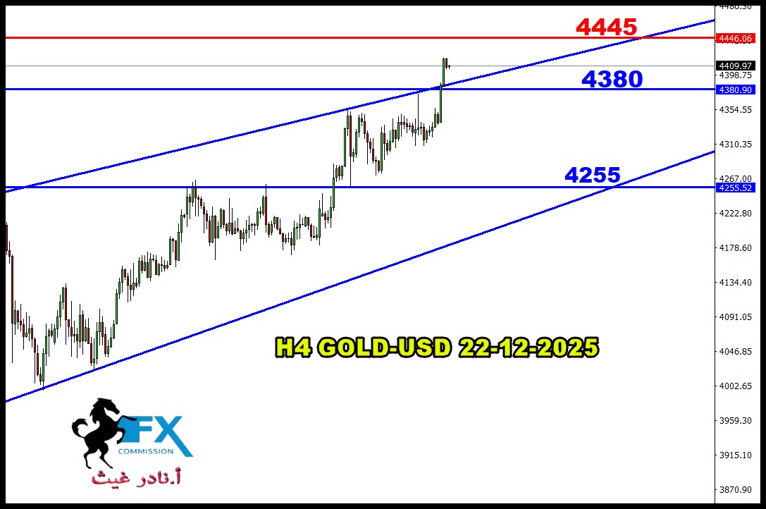 ���� ���� ������ �� ���� ������