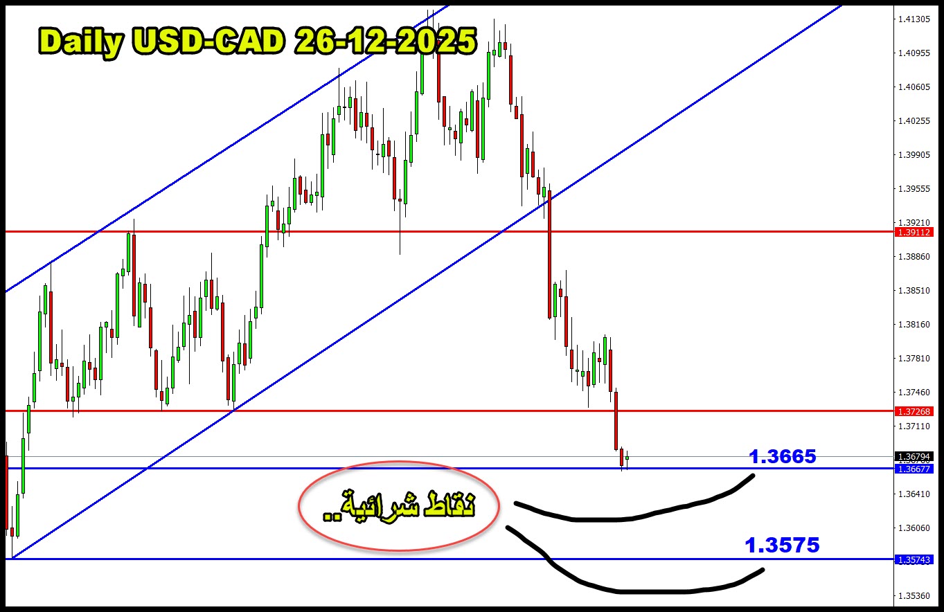 ���� ���� ������ �� ���� ������