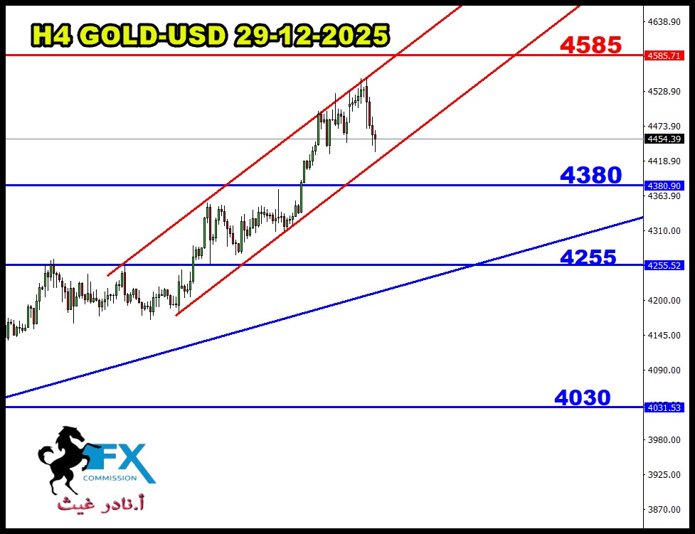 ���� ���� ������ �� ���� ������