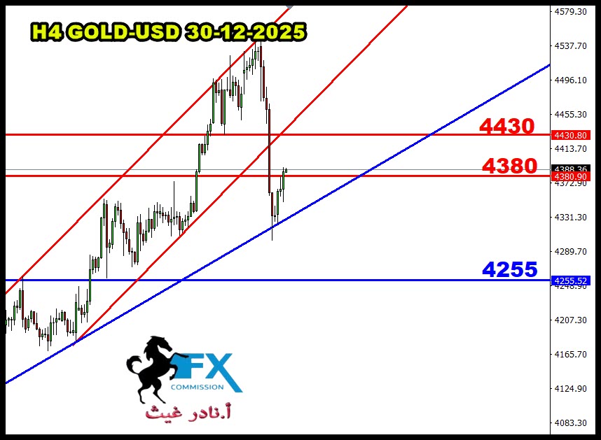 ���� ���� ������ �� ���� ������