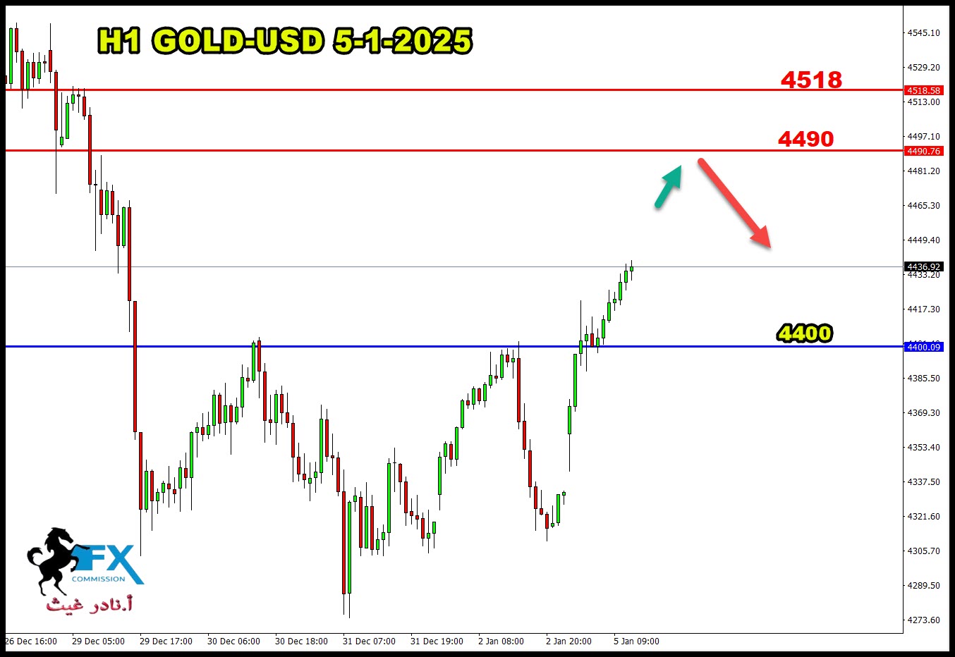 ���� ���� ������ �� ���� ������