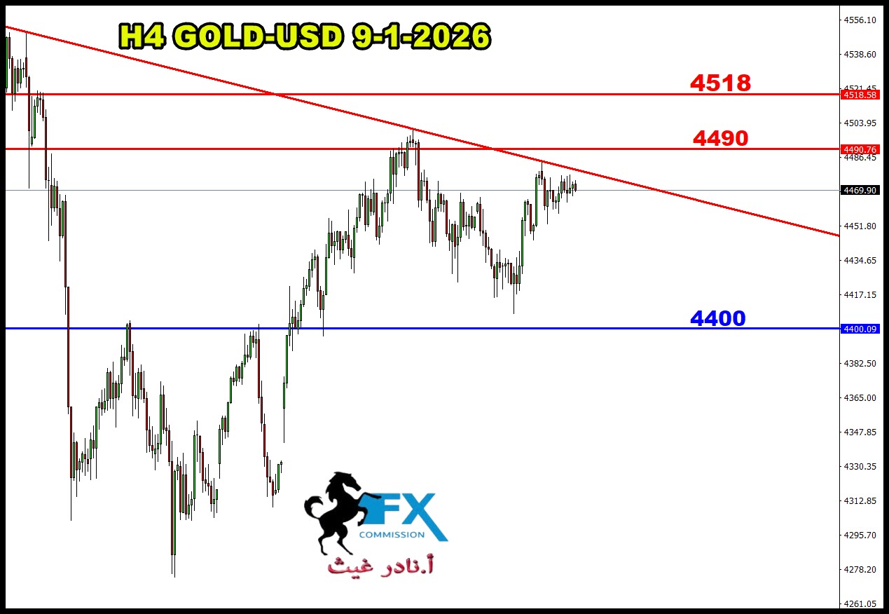 ���� ���� ������ �� ���� ������