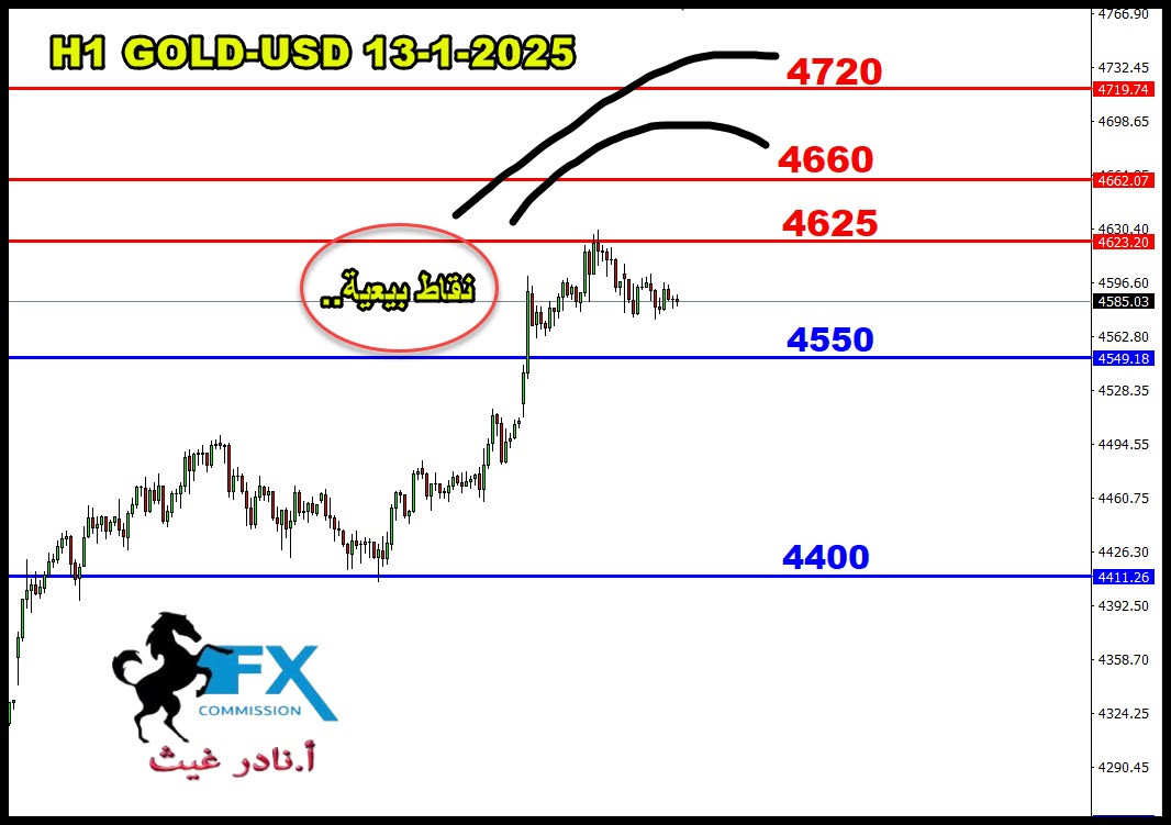 ���� ���� ������ �� ���� ������