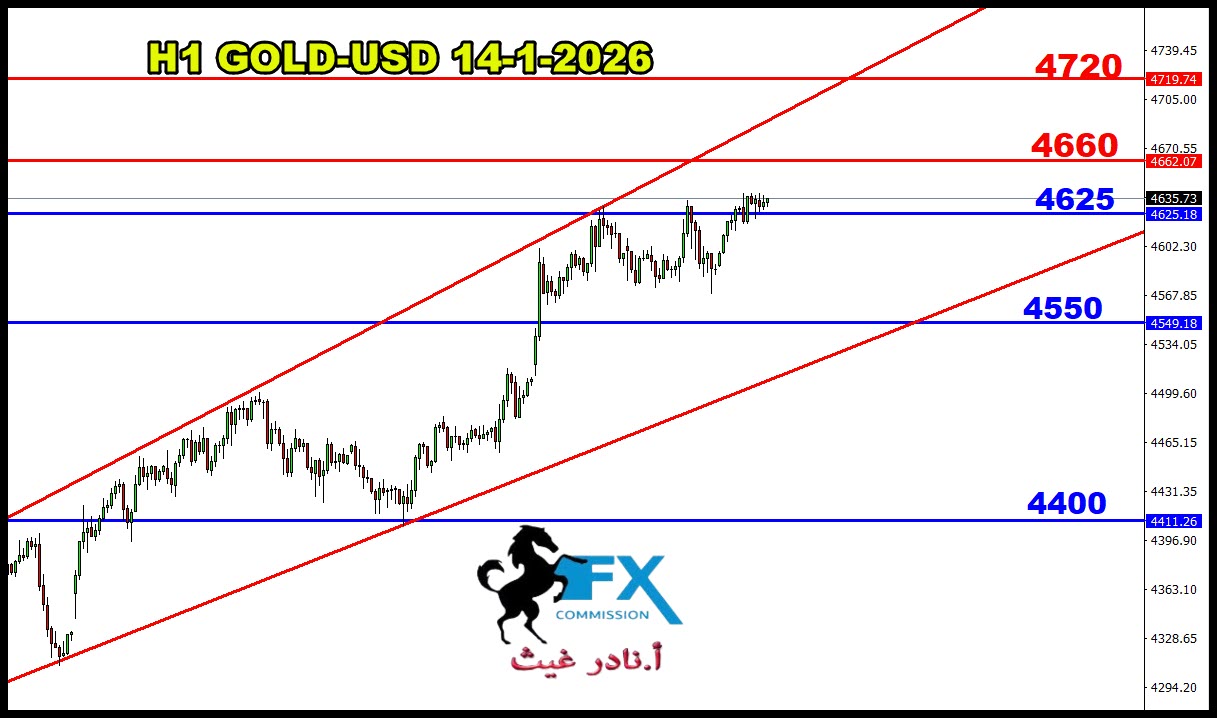 ���� ���� ������ �� ���� ������