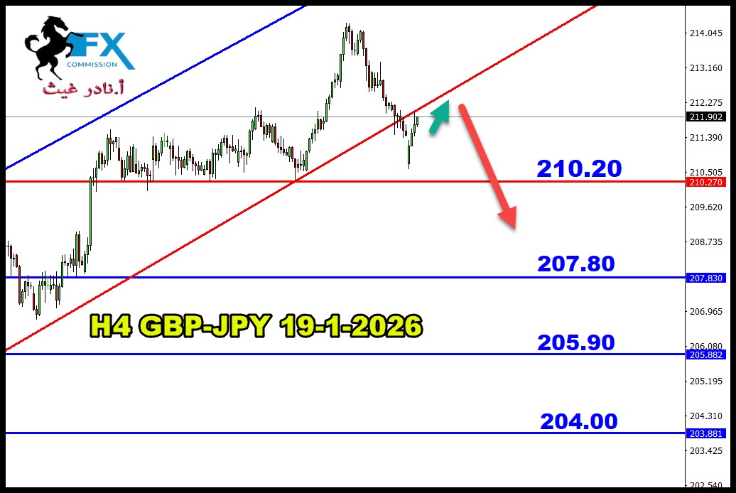 ���� ���� ������ �� ���� ������