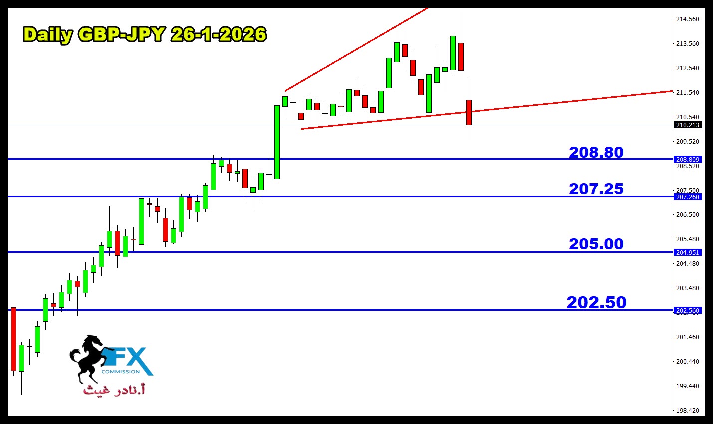 ���� ���� ������ �� ���� ������