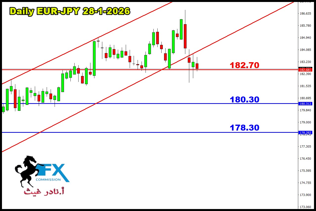 ���� ���� ������ �� ���� ������