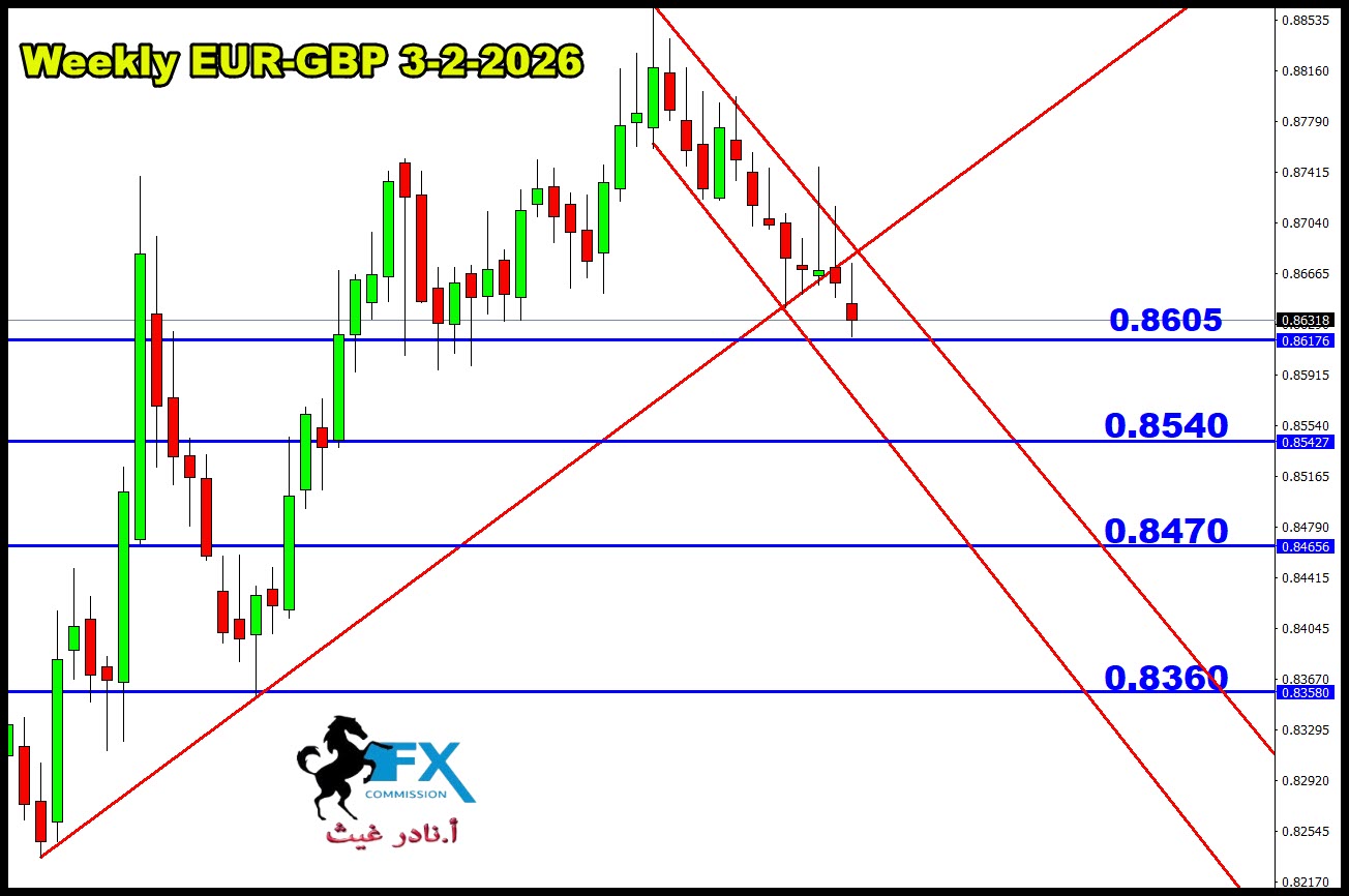 ���� ���� ������ �� ���� ������