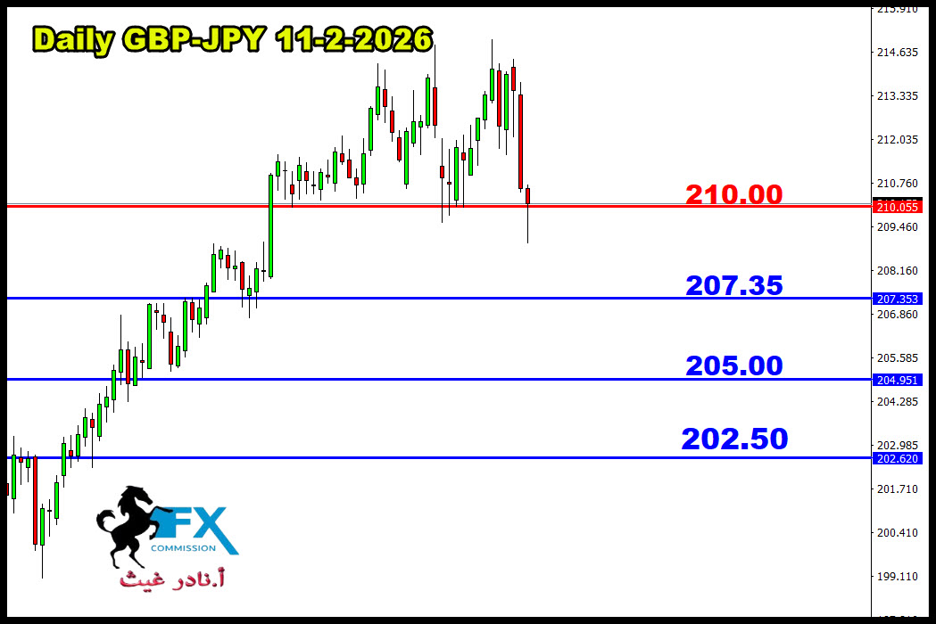 ���� ���� ������ �� ���� ������