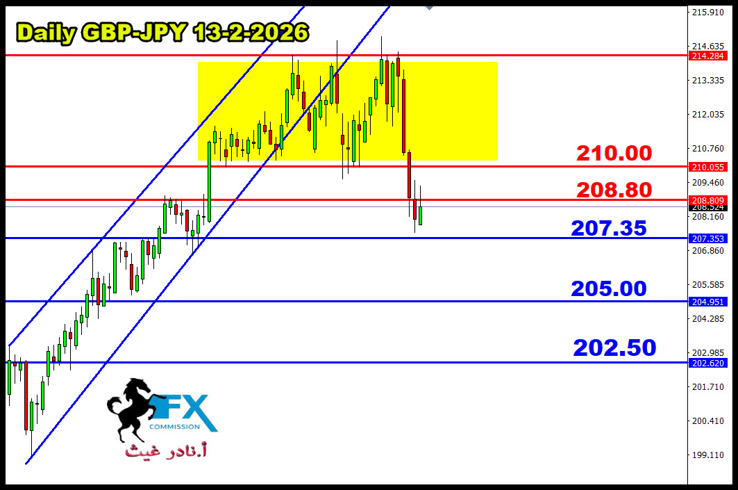 ���� ���� ������ �� ���� ������