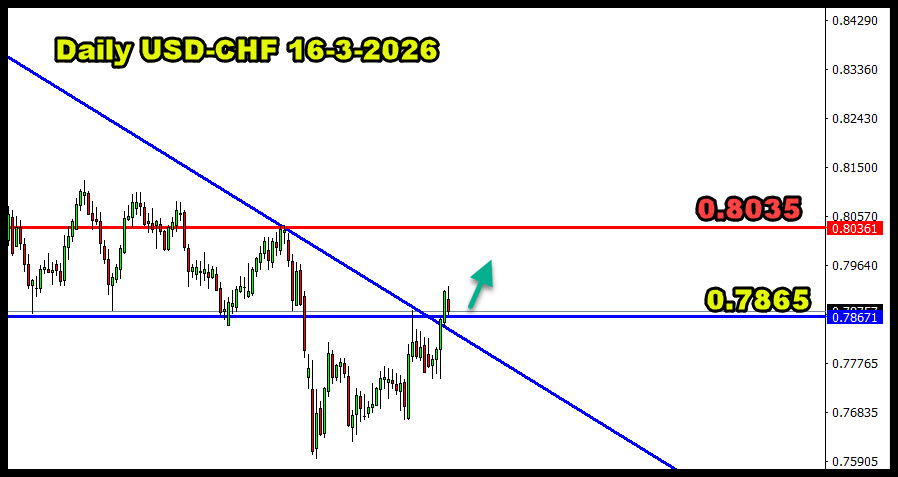 ���� ���� ������ �� ���� ������