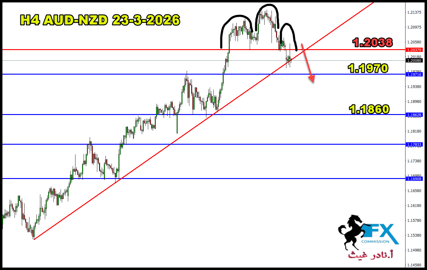 ���� ���� ������ �� ���� ������