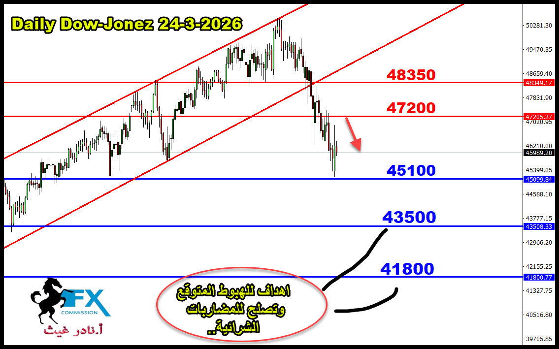 ���� ���� ������ �� ���� ������