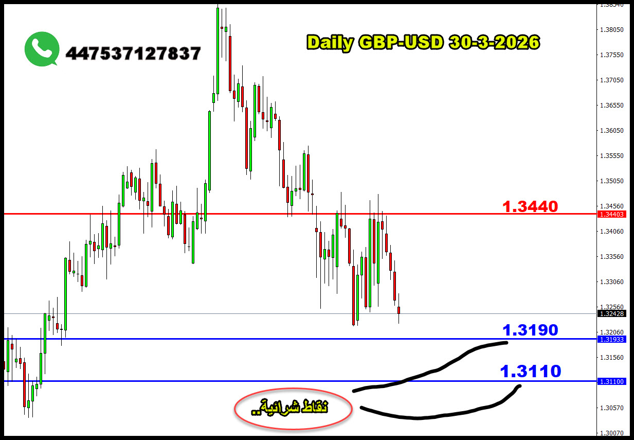 ���� ���� ������ �� ���� ������