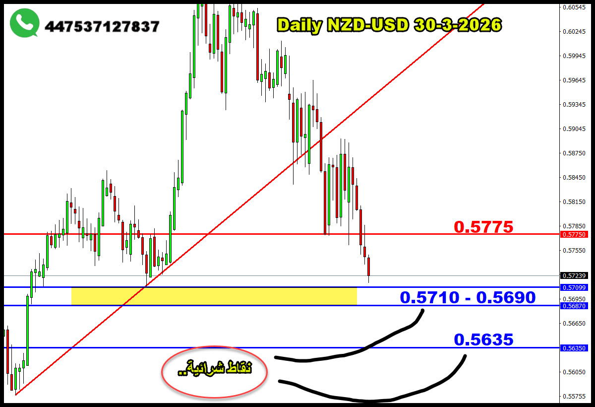 ���� ���� ������ �� ���� ������