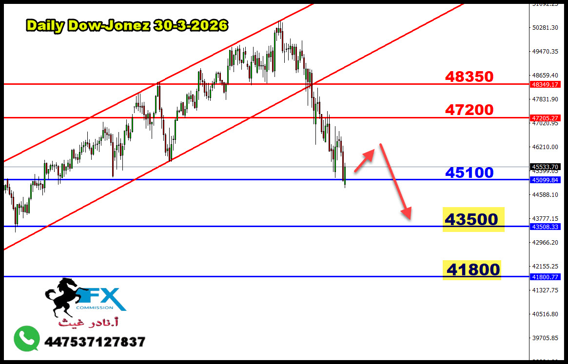 ���� ���� ������ �� ���� ������