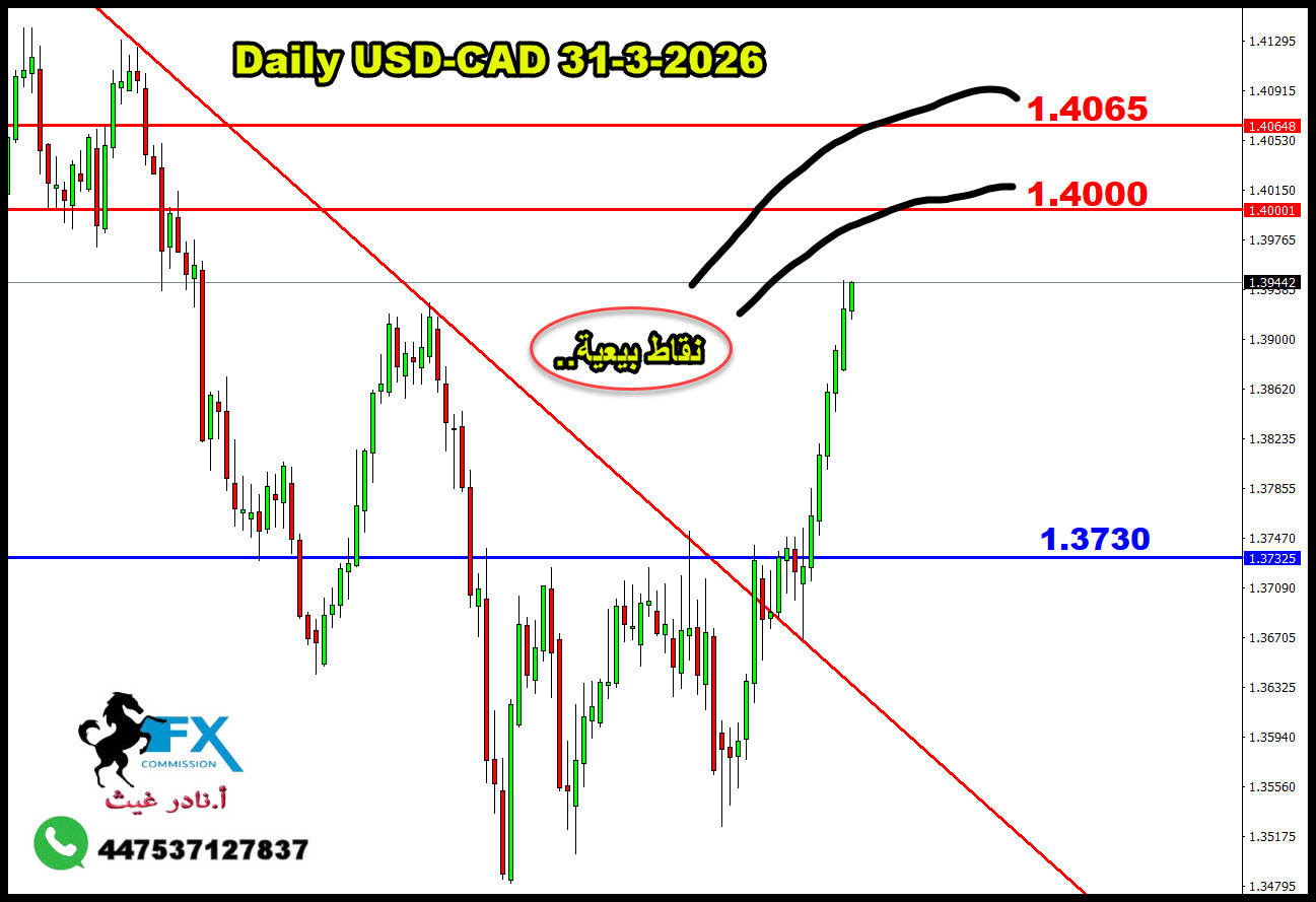 ���� ���� ������ �� ���� ������