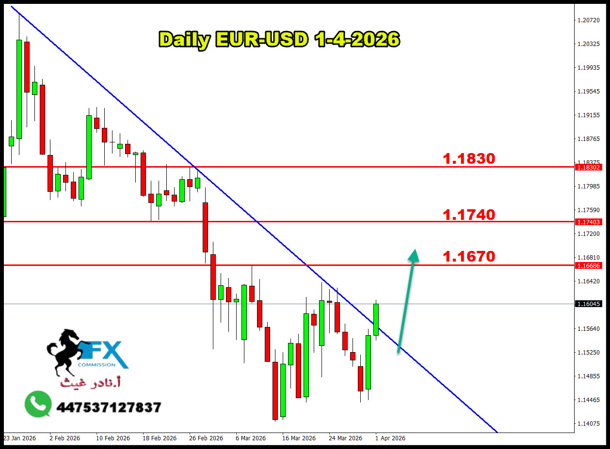 ���� ���� ������ �� ���� ������