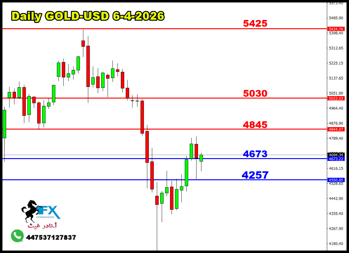 ���� ���� ������ �� ���� ������