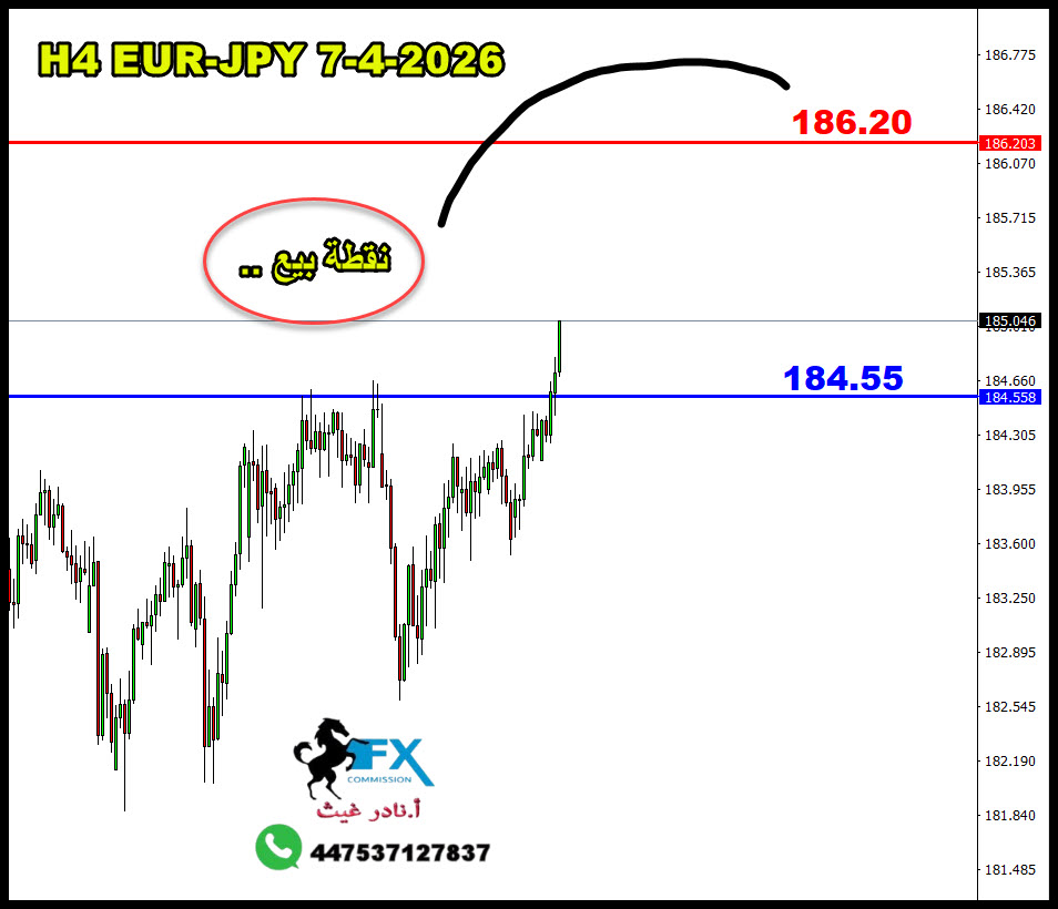 ���� ���� ������ �� ���� ������