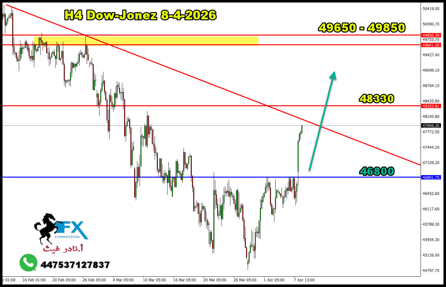 ���� ���� ������ �� ���� ������