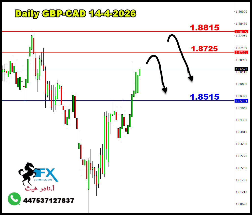 ���� ���� ������ �� ���� ������