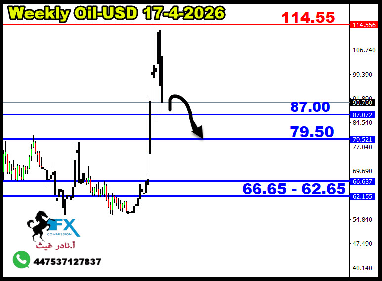 ���� ���� ������ �� ���� ������