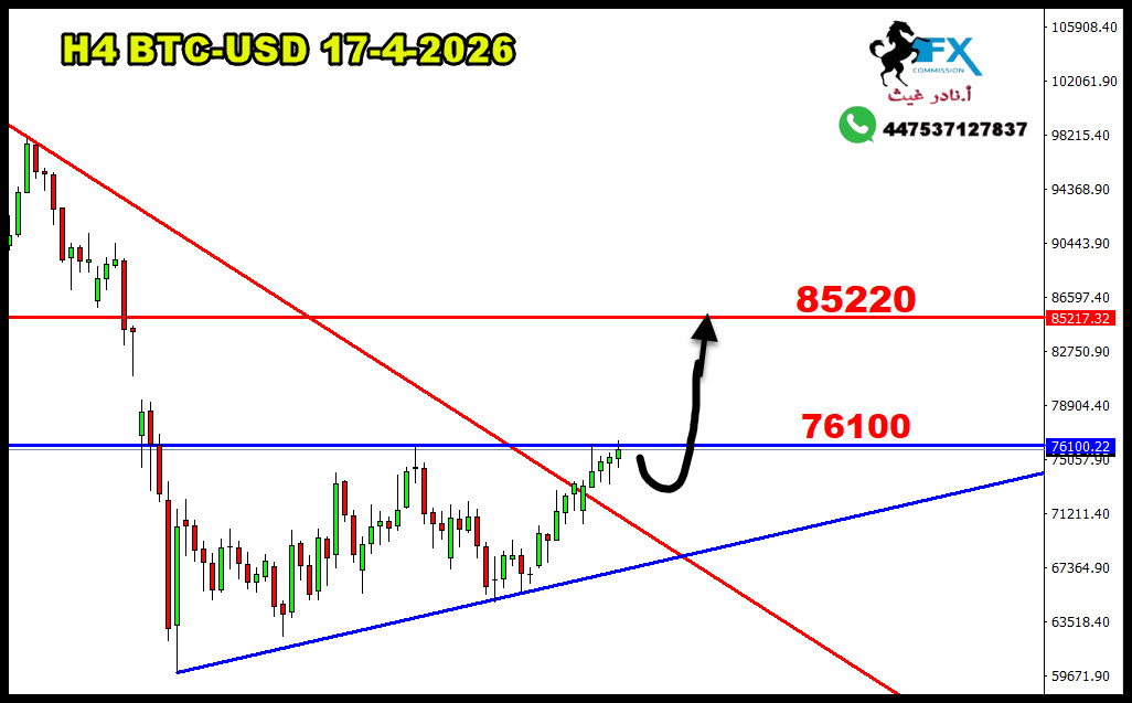 ���� ���� ������ �� ���� ������