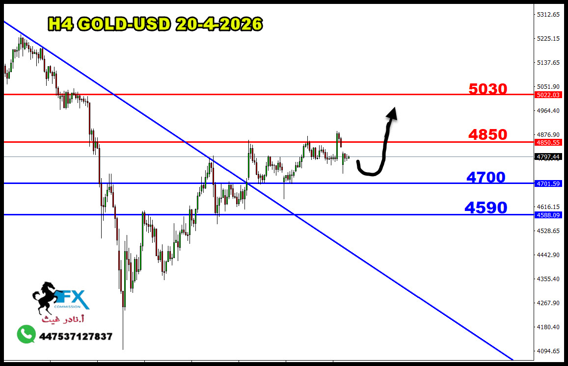 ���� ���� ������ �� ���� ������