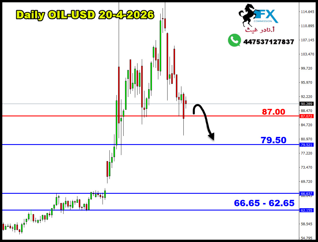 ���� ���� ������ �� ���� ������