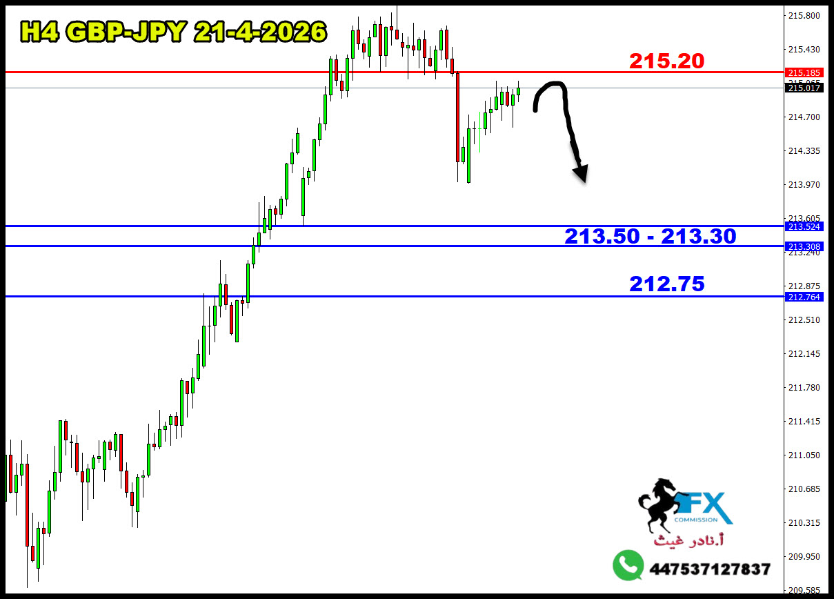 ���� ���� ������ �� ���� ������