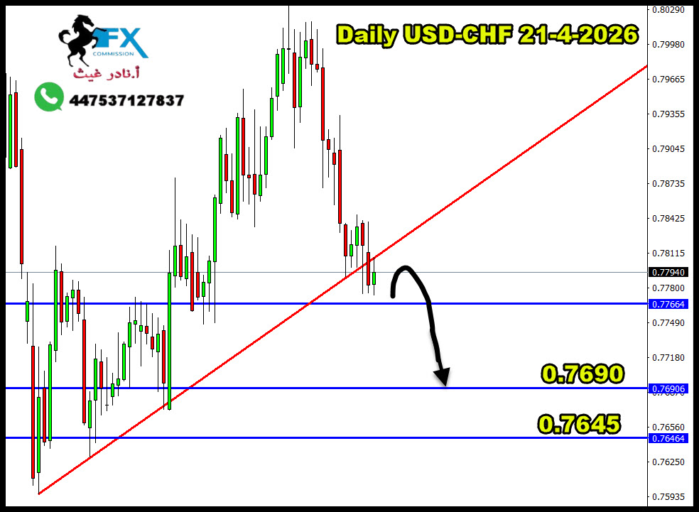 ���� ���� ������ �� ���� ������