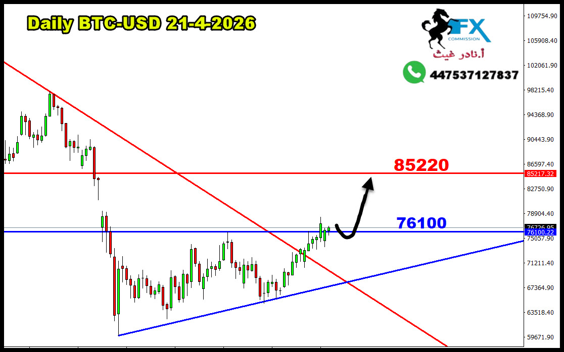 ���� ���� ������ �� ���� ������