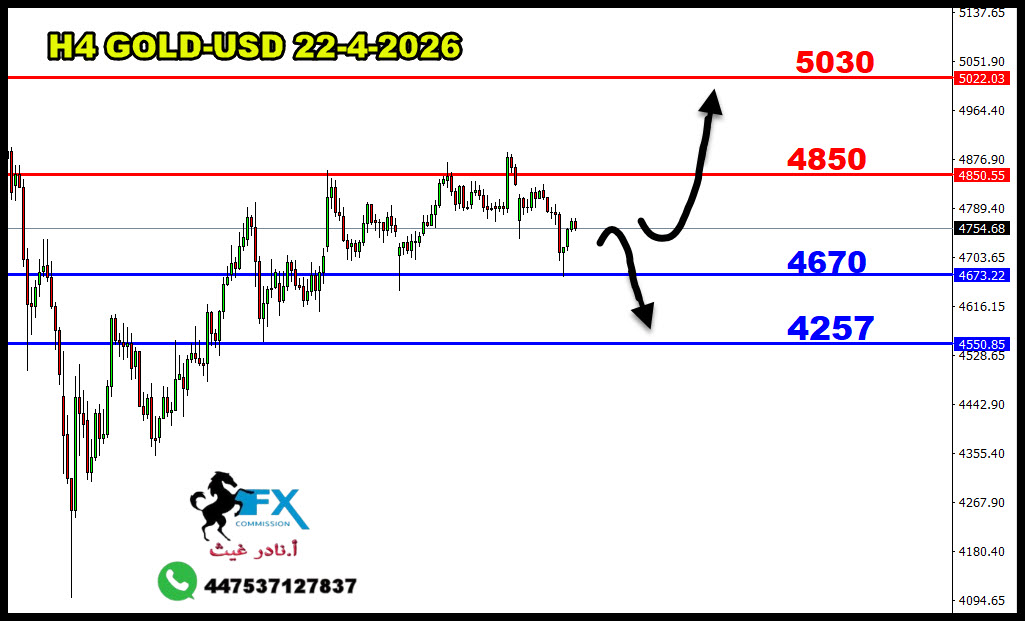 ���� ���� ������ �� ���� ������