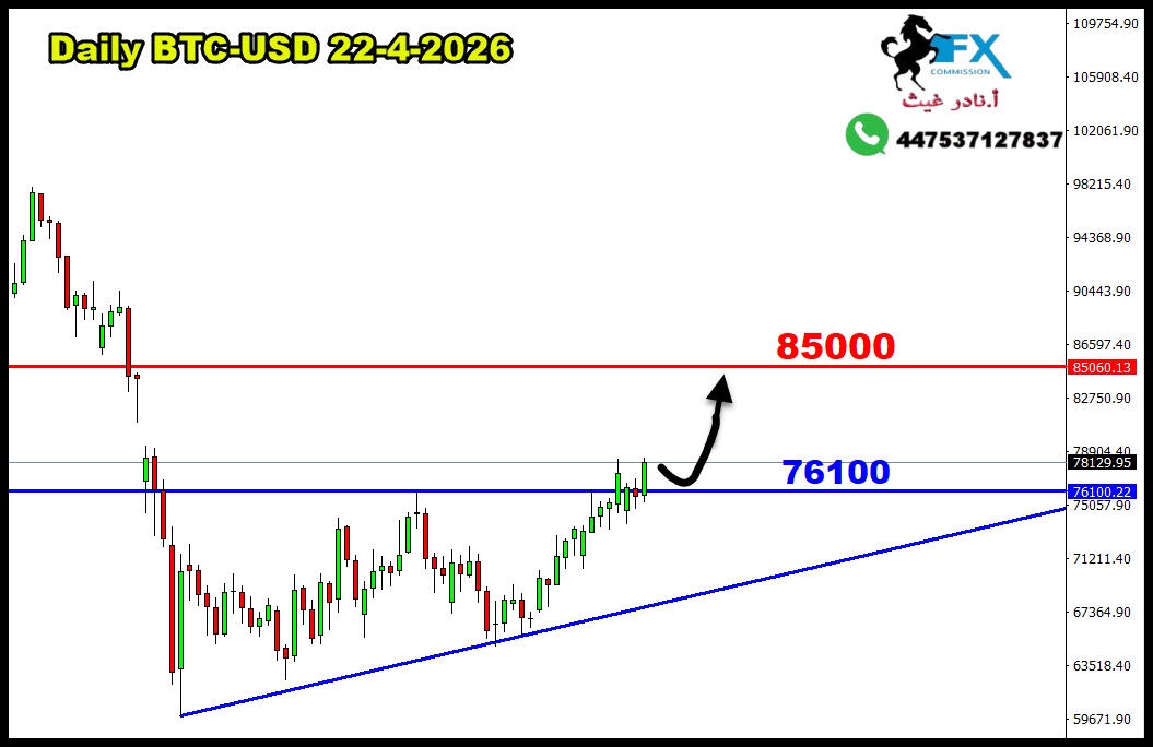 ���� ���� ������ �� ���� ������