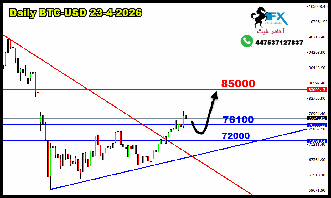 ���� ���� ������ �� ���� ������