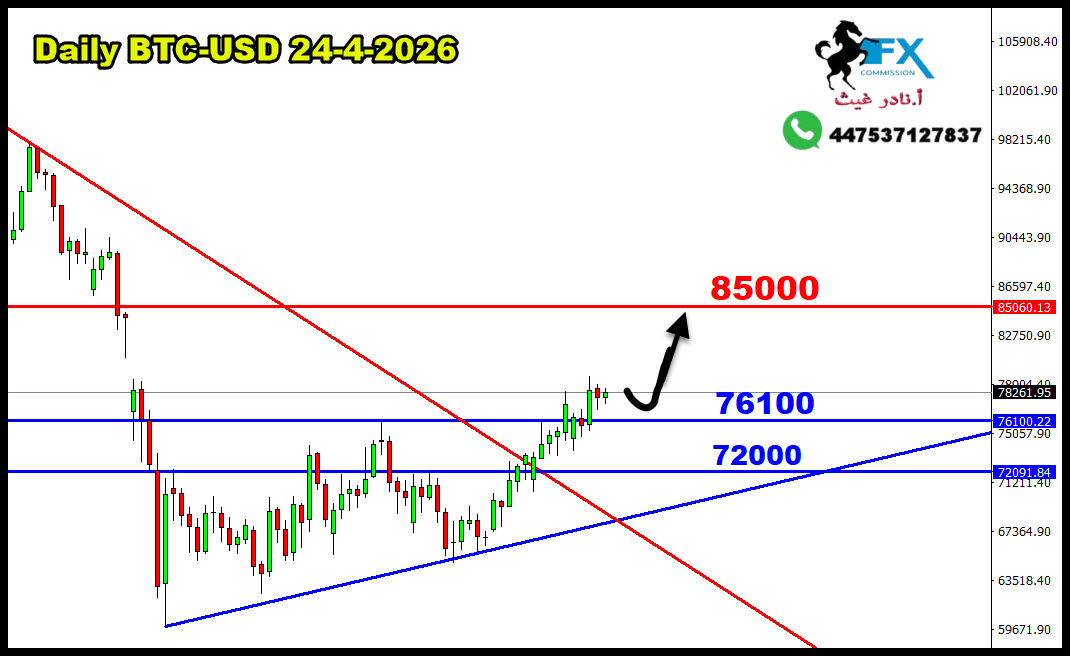 ���� ���� ������ �� ���� ������